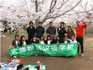 大連パンダ中国語学校—樱花节